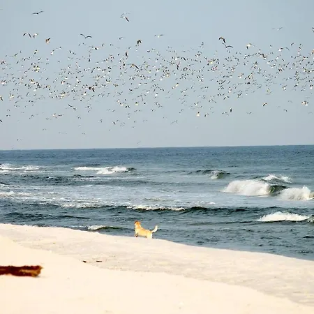 Lejlighed White Pearl 3.04