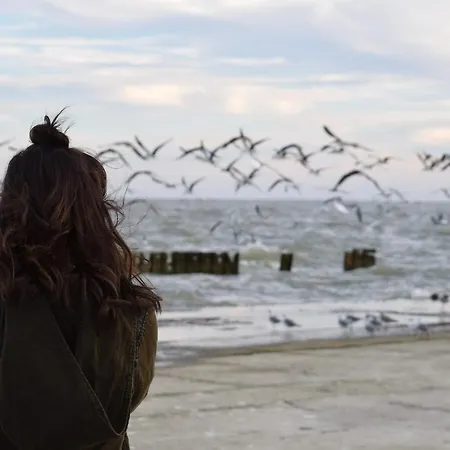 Lejlighed White Pearl 3.04 *